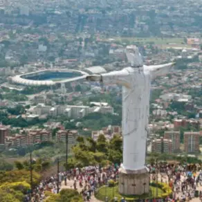 abogados en cali colombia
