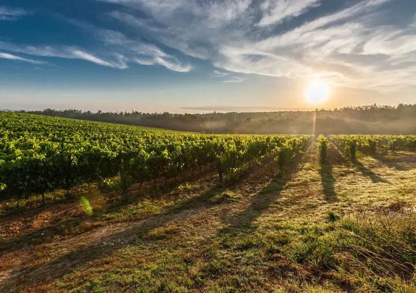 avaluos de inmuebles rurales y peritajes